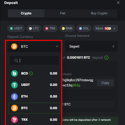 Crypto Payment Methods at BC.Game
